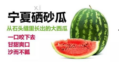 柳州石头瓜今日价格表最新,最新行情一览