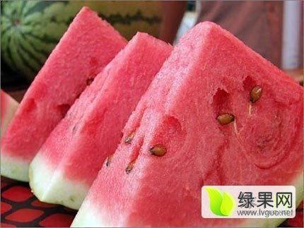 新疆硒砂瓜今日收购价格,丰硕收益背后的市场脉动