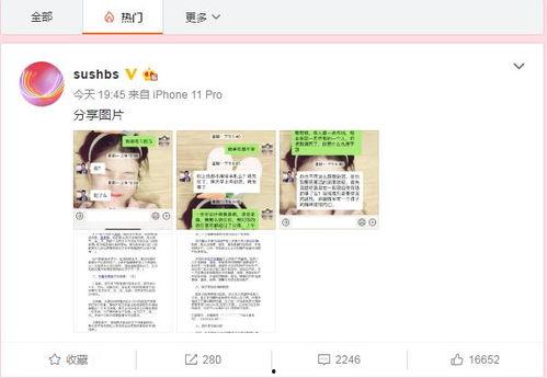 惠州今日吃瓜新闻报道直播,揭秘网红美食背后的秘密