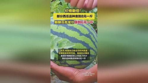 今日麒麟瓜多少钱一斤,行情一览，一斤多少钱？