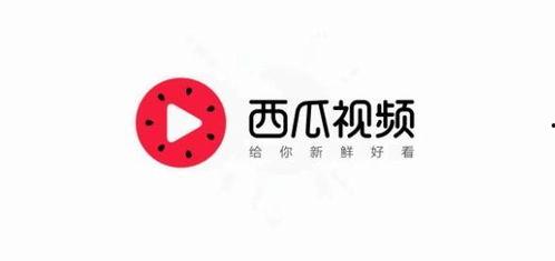 今日头条万能瓜是什么,热门话题背后的秘密解析