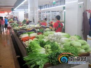 今日三亚瓜菜行情最新消息,新鲜直供，价格波动解析