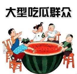 石家庄今日吃瓜新闻报道,吃瓜群众聚焦最新新闻事件