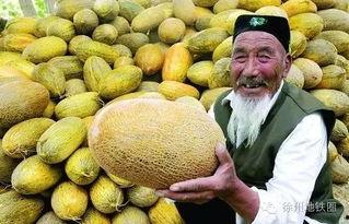 郑州万邦今日哈密瓜价格,实惠之选，品质保证
