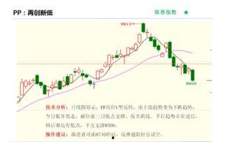 黑瓜今日价格行情走势图,今日行情走势解析
