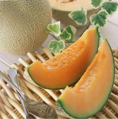 海南今日二瓜市场哈密瓜,哈密瓜飘香，甜蜜夏日新宠