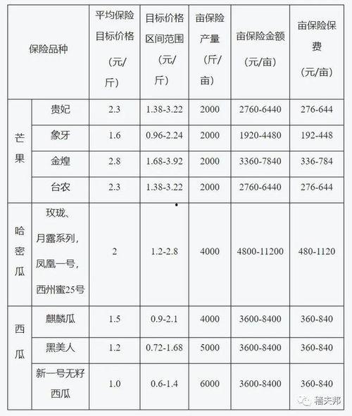 海南三亚哈密瓜今日价格,价格行情一览”
